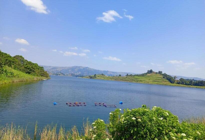 سوئیت با تخت بزرگ, Paradise Eco Hub