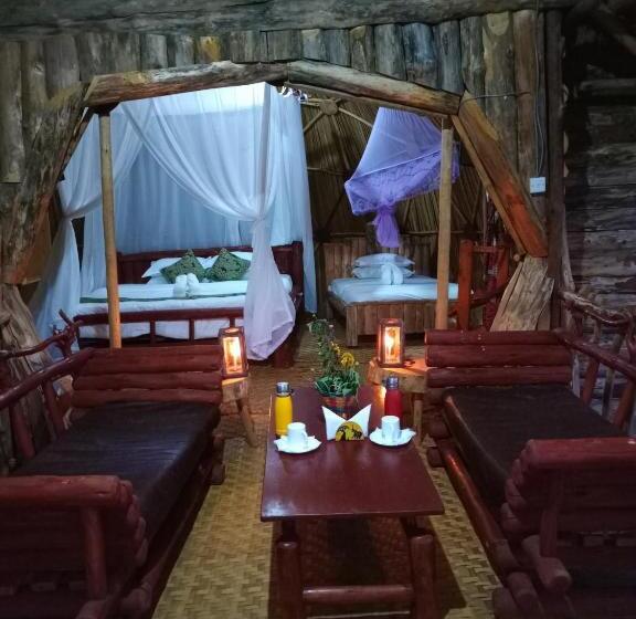 سوئیت با تخت بزرگ, Paradise Eco Hub