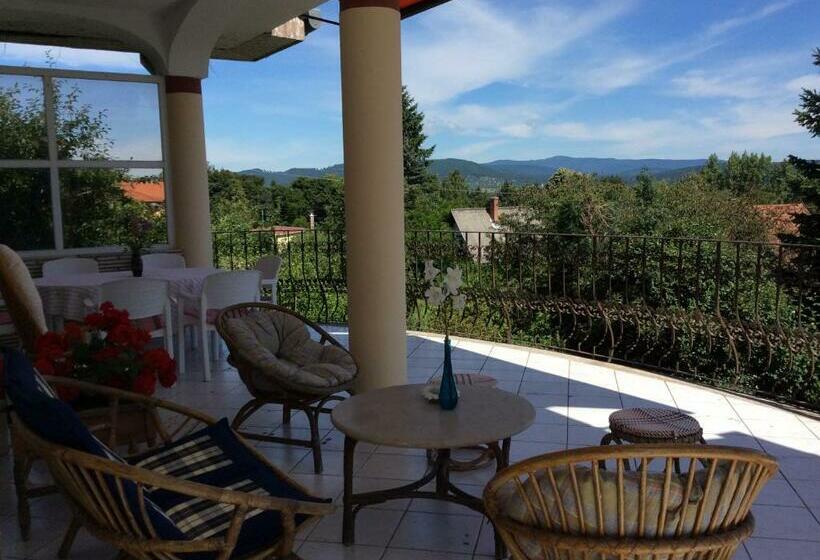 غرفة قياسية, Villa Kalman Pansio