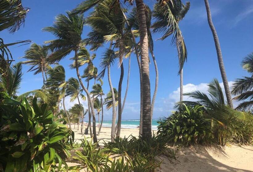 اتاق استاندارد, Art Villa Dominicana