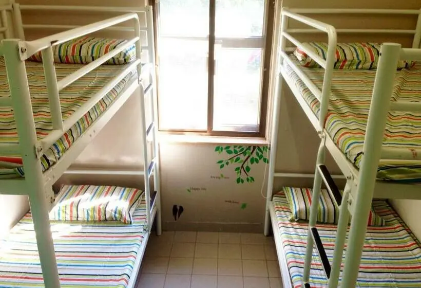 اتاق استاندارد با سرویس بهداشتی مشترک, Yha Ngong Ping Sg Davis Youth Hostel