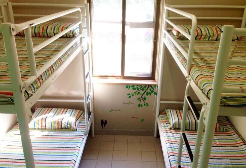 Bed in Shared Room with Shared Bathroom, Yha Ngong Ping Sg Davis Youth Hostel