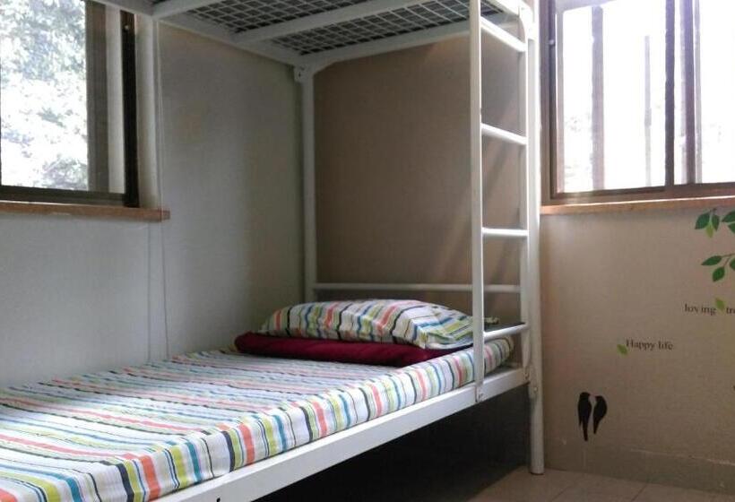 Bed in Gedeelde Kamer met Gedeelde Badkamer, Yha Ngong Ping Sg Davis Youth Hostel