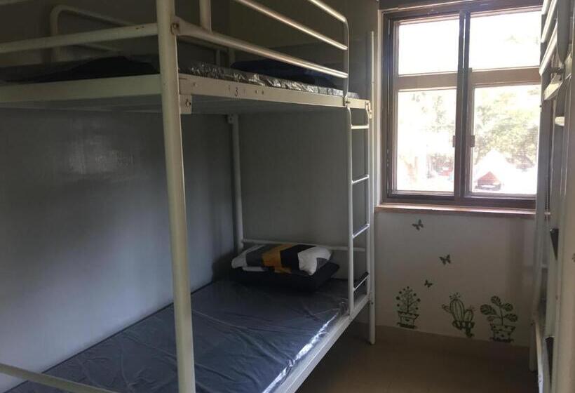 اتاق استاندارد, Yha Ngong Ping Sg Davis Youth Hostel