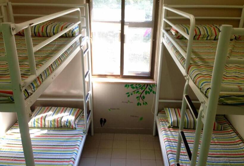 تختخواب در اتاق مشترک, Yha Ngong Ping Sg Davis Youth Hostel