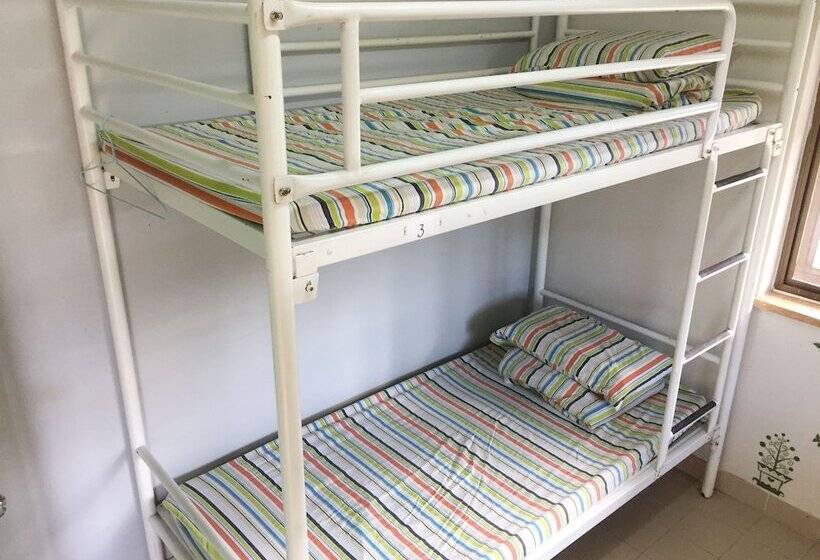 Bed in een Gedeelde Kamer, Yha Ngong Ping Sg Davis Youth Hostel