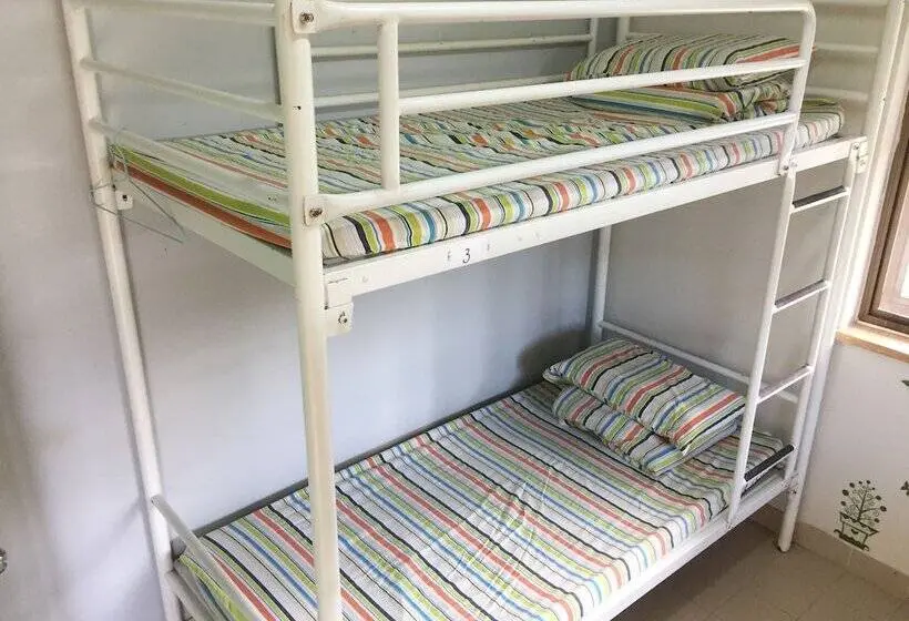 تختخواب در اتاق مشترک, Yha Ngong Ping Sg Davis Youth Hostel