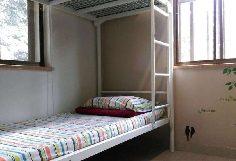 تختخواب در اتاق مشترک, Yha Ngong Ping Sg Davis Youth Hostel