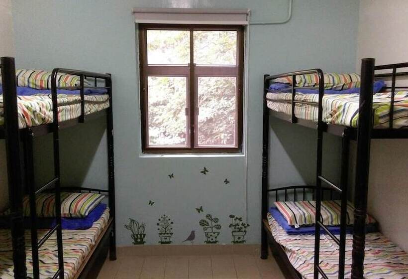 تختخواب در اتاق مشترک, Yha Ngong Ping Sg Davis Youth Hostel