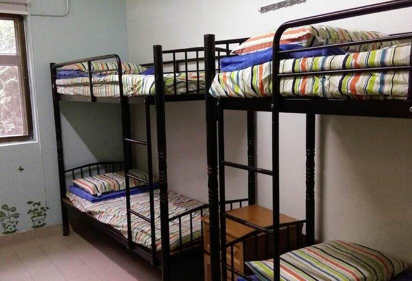 Bed in een Gedeelde Kamer, Yha Ngong Ping Sg Davis Youth Hostel