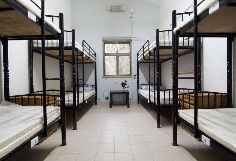 Bed in een Gedeelde Kamer, Yha Ngong Ping Sg Davis Youth Hostel