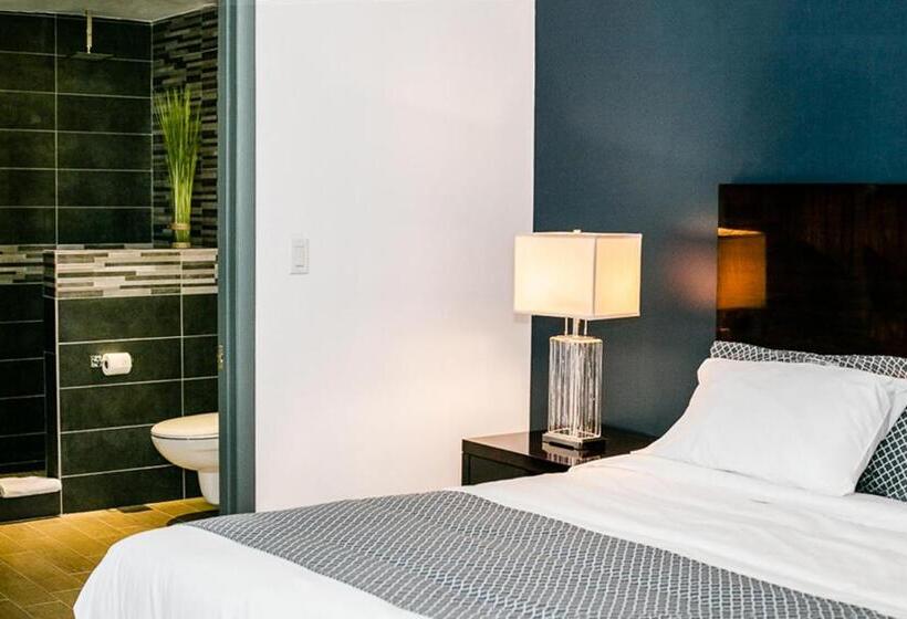 اتاق استاندارد با تخت بزرگ, Commodore Suites