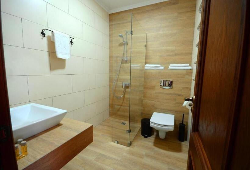 اتاق سوپریور, Premier Hotel Pochaiv