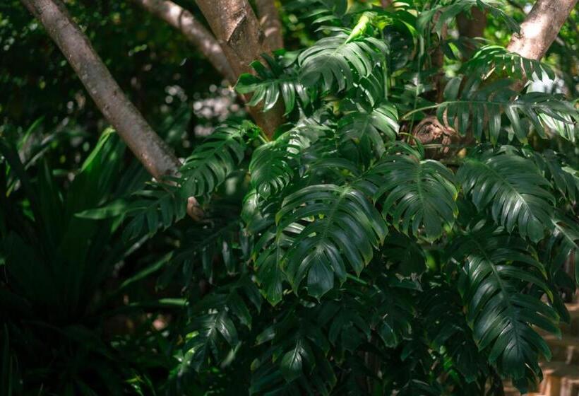 Люкс, Xanadu Luxury Villas & Retreat Zanzibar