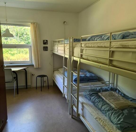 Четырехместный Номер Стандарт, Aarhus Hostel Og