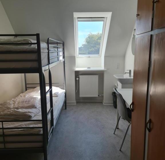 غرفة قياسية, Aarhus Hostel Og