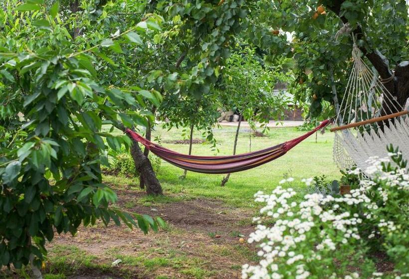 اتاق استاندارد, Casa Pando