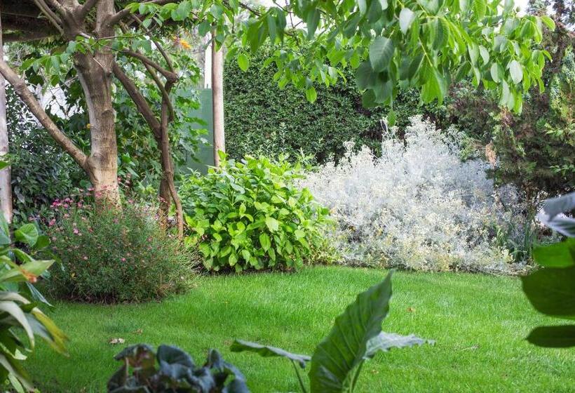 اتاق استاندارد سه نفره, Casa Pando