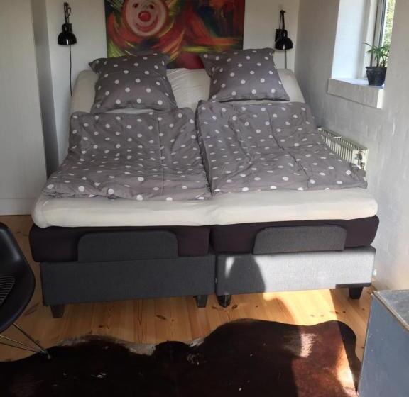 스탠다드 전망 룸, Bed & Breakfast Horsens   Udsigten