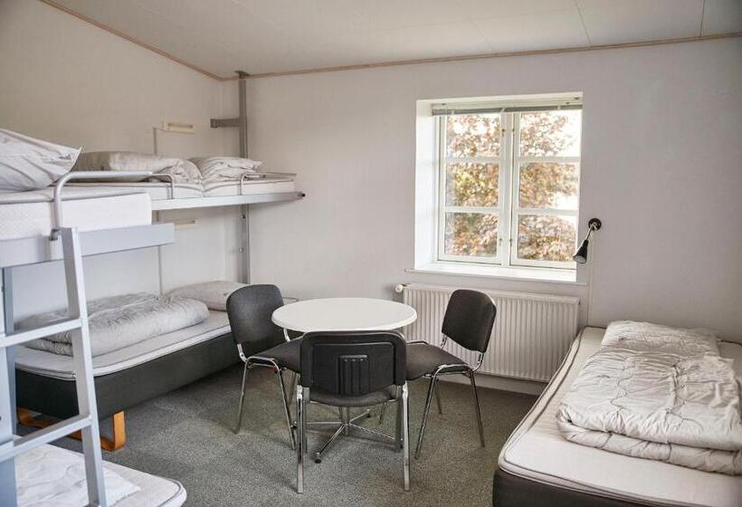 Camera Quadrupla Standard, Danhostel Haderslev