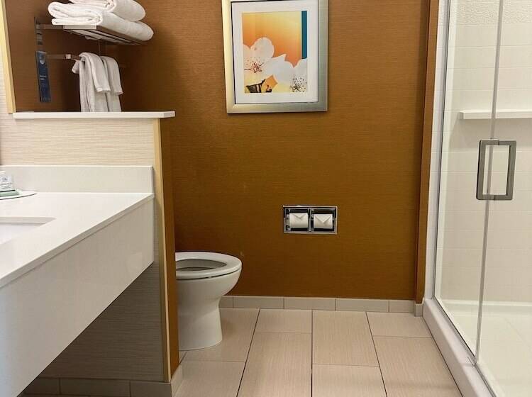 スイート, Fairfield Inn & Suites By Marriott Hollister