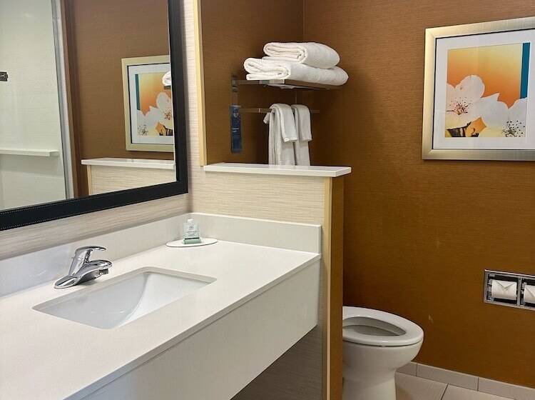 Люкс, Fairfield Inn & Suites By Marriott Hollister