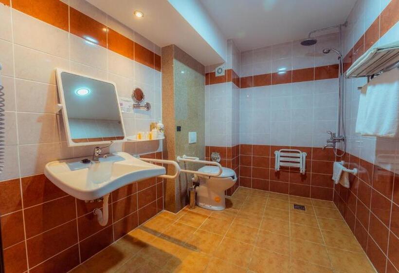 חדר סטנדרט מותאם לאדם עם מוגבלויות, Perla