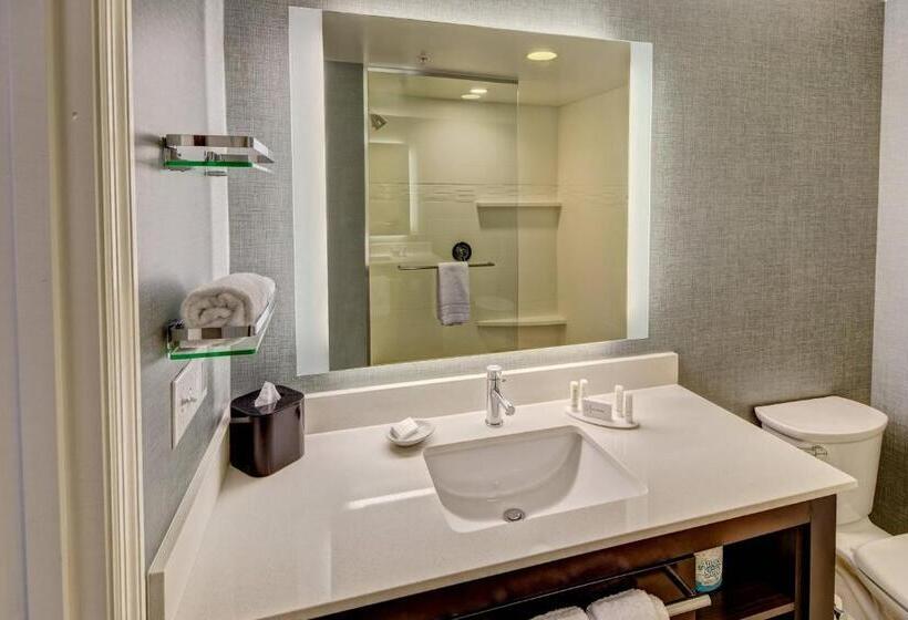 Студио Стандарт Кровать Кинг, Residence Inn By Marriott Blacksburg University