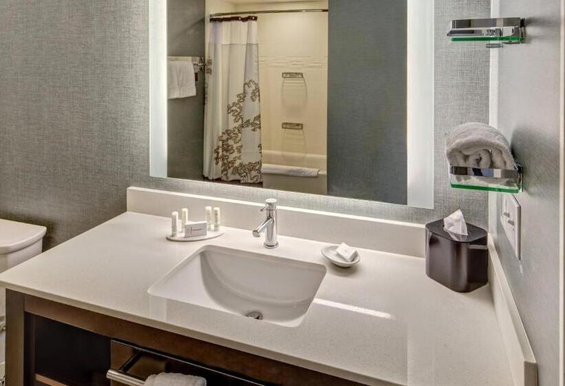 Люкс Кровать Кинг, Residence Inn By Marriott Blacksburg University