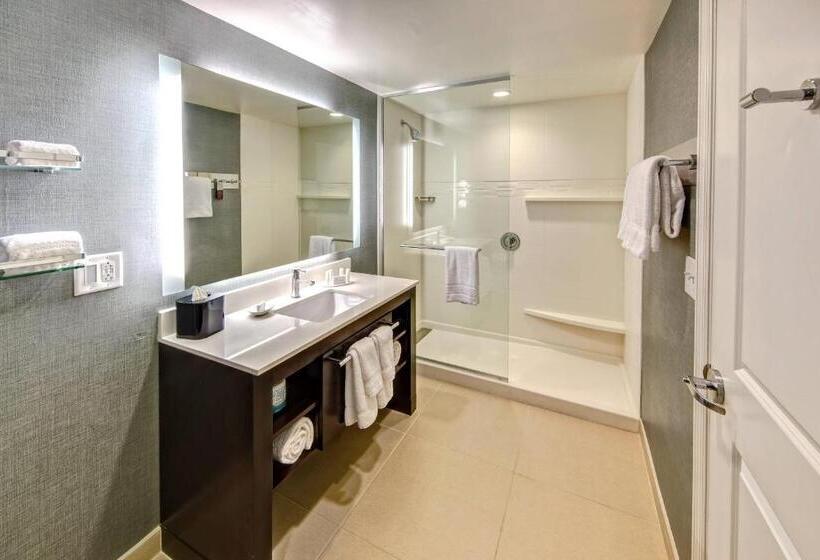 Люкс Кровать Кинг, Residence Inn By Marriott Blacksburg University