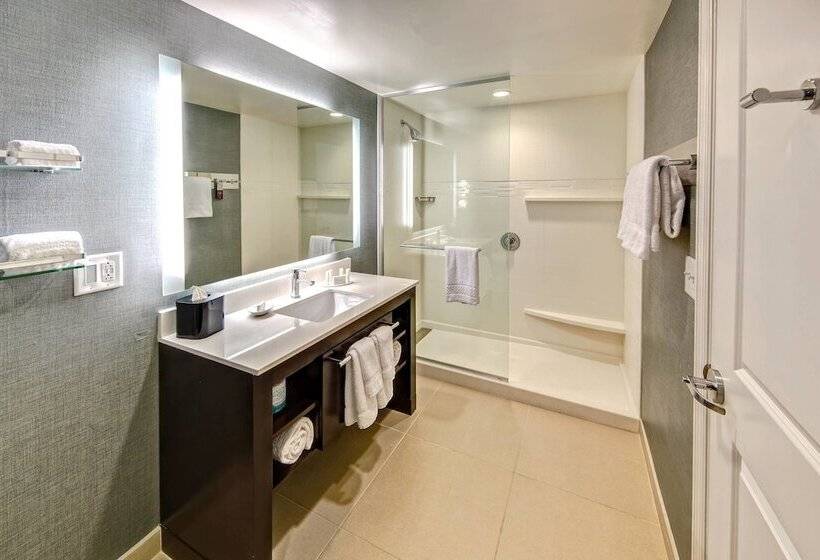 Люкс Адаптированный для Инвалидов, Residence Inn By Marriott Blacksburg University