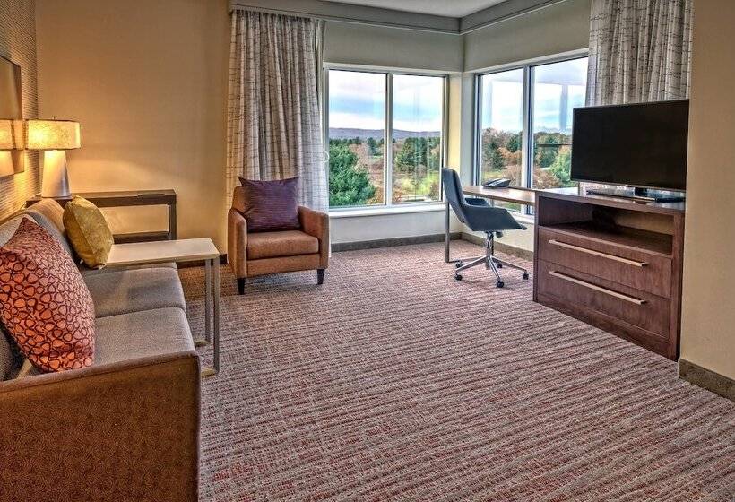 جناح لذوى الاحتياجات الخاصة, Residence Inn By Marriott Blacksburg University