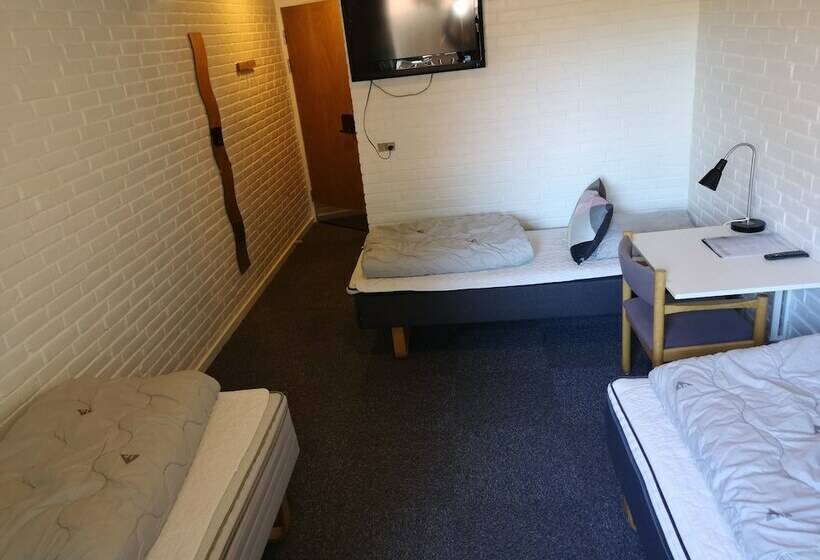 חדר סטנדרט לשלושה, Koncept