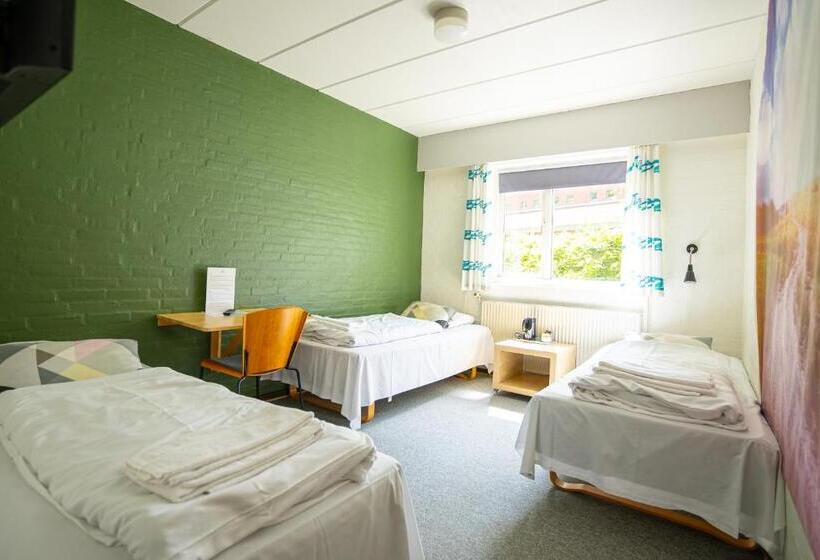 חדר סטנדרט לשלושה, Koncept