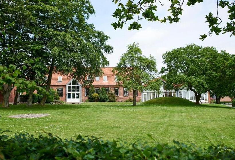 חדר סטנדרט לשלושה, Koncept