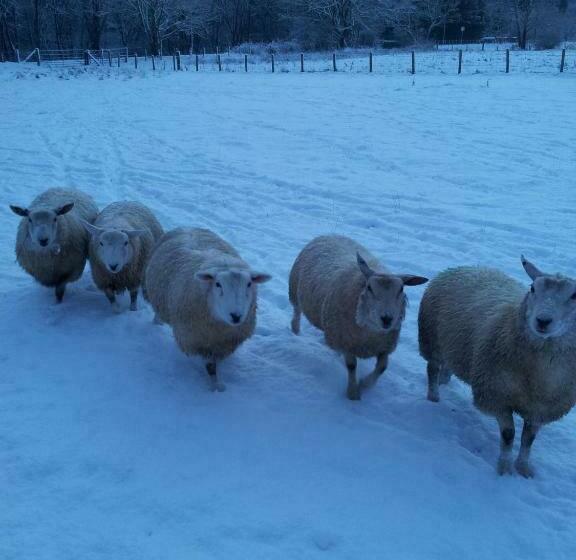 Номер Стандарт, Kilmichael House