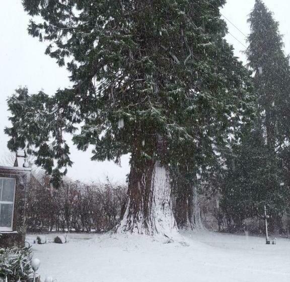 Номер Стандарт, Kilmichael House