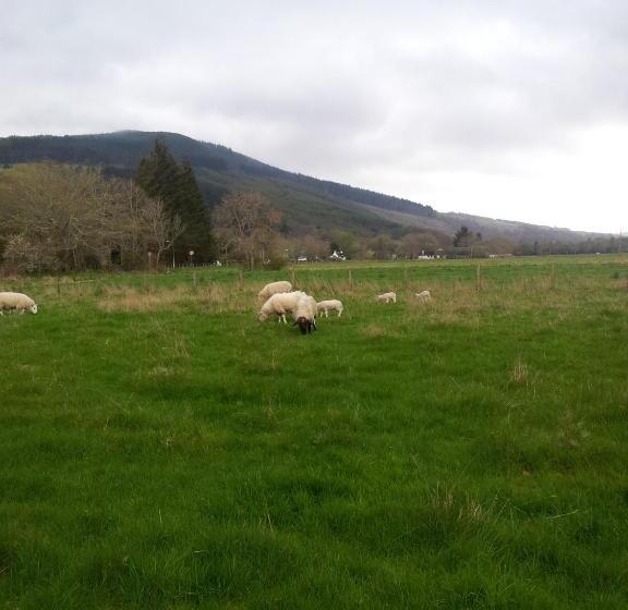 Номер Стандарт, Kilmichael House