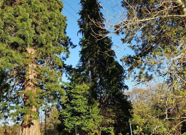 Номер Стандарт, Kilmichael House