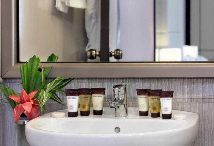 비즈니스룸, Bravia Hotel Ouagadougou
