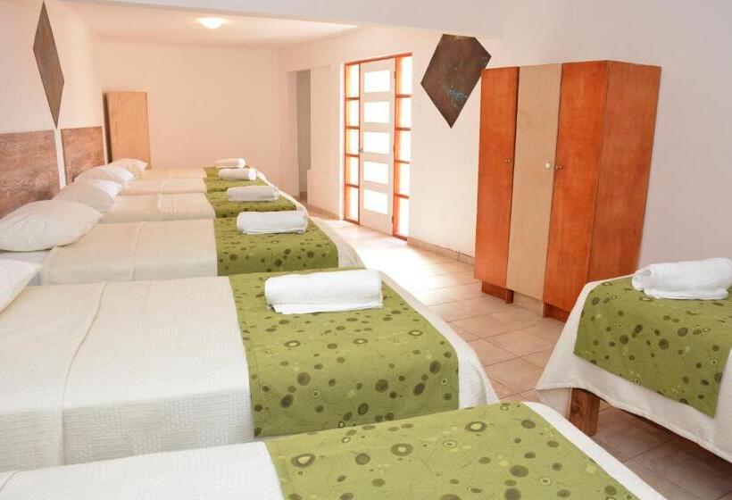 Geteiltes Mehrbettzimmer, Hostal Valle Mistral