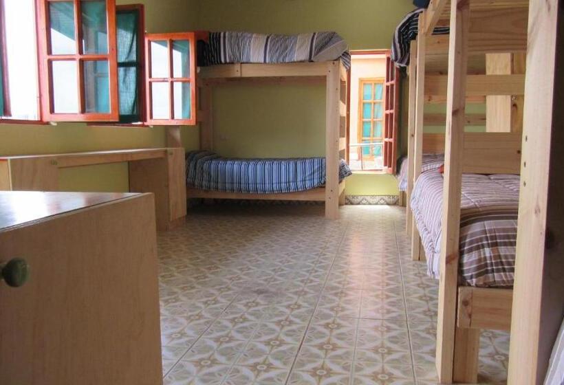 Geteiltes Mehrbettzimmer, Hostal Valle Mistral