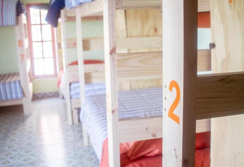 Geteiltes Mehrbettzimmer, Hostal Valle Mistral