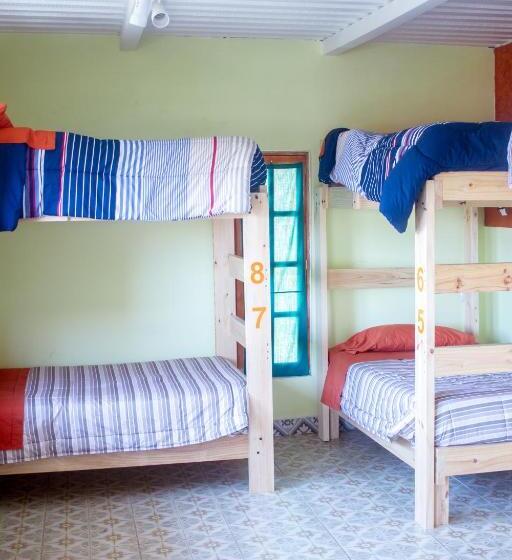 Geteiltes Mehrbettzimmer, Hostal Valle Mistral