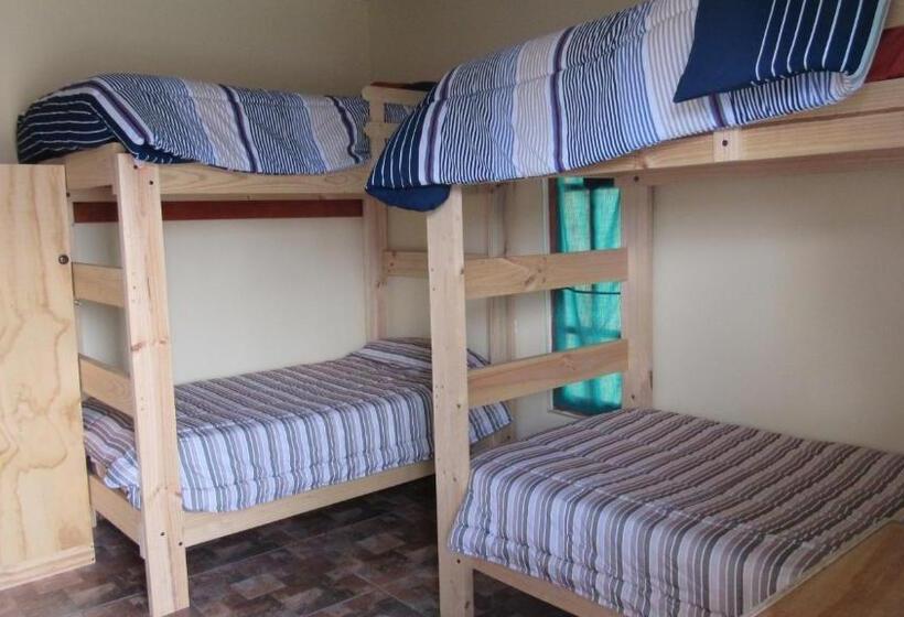 Geteiltes Mehrbettzimmer, Hostal Valle Mistral