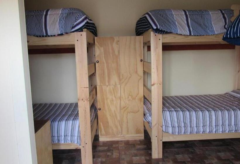 Geteiltes Mehrbettzimmer, Hostal Valle Mistral