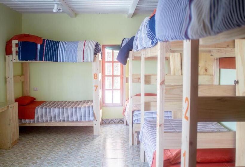 ルームシェアのワンベッド, Hostal Valle Mistral