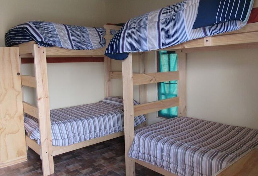 Geteiltes Mehrbettzimmer, Hostal Valle Mistral