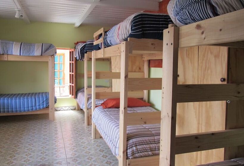 Geteiltes Mehrbettzimmer, Hostal Valle Mistral