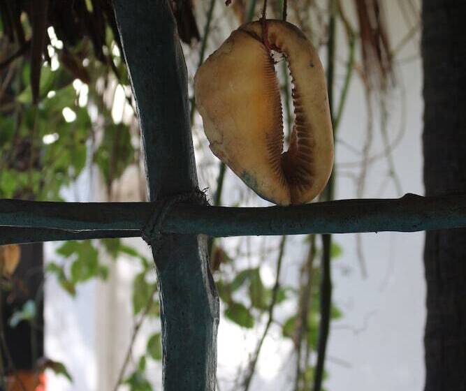 غرفة قياسية, Fontaine Garden Village